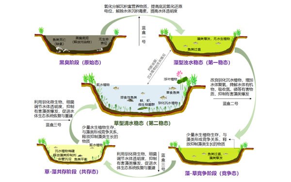 Five states ecological restoration 技術工藝包與產品